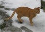 Max im Schnee