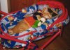 Max im Wagen