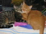 Max und Moritz 