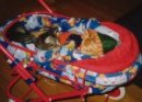 Max und Moritz  im Wagen