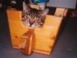 Moritz im Hocker